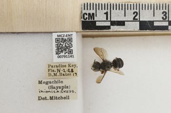 Media type: image;   Entomology 791141 Aspect: Labels